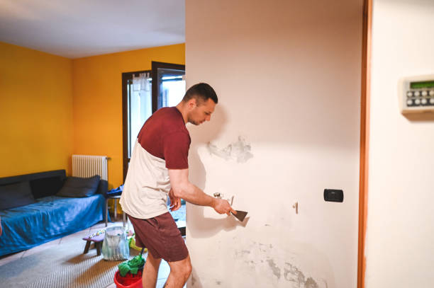 Best Emergency Mold Removal  in Marine City, MI