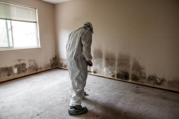 Water Damage Restoration in Marine City, MI